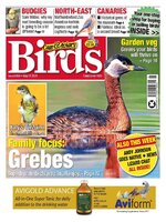 Cage & Aviary Birds
